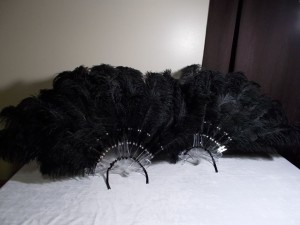 Black Feather Fan Pair - Home Decor